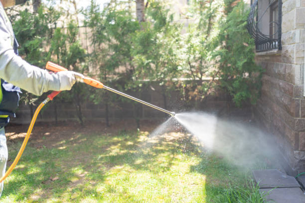 Best Rat Extermination Near Me  in High Point, FL