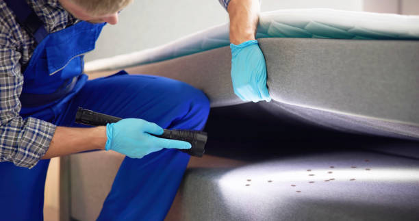 Best Ant Control Services  in High Point, FL