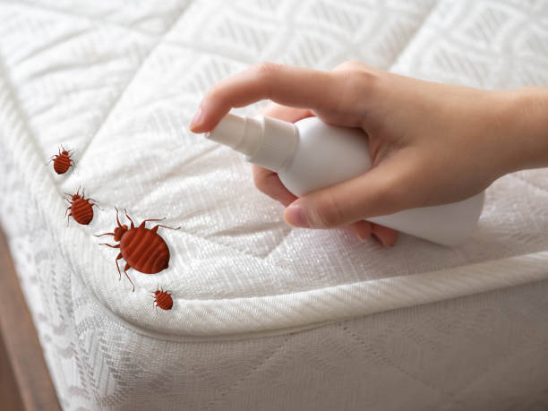 Pest Control Cost in High Point, FL