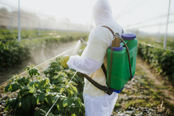 Best Pest Removal Services  in High Point, FL